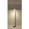 Barker Lampadaire Luminaires Globo Lighting LED Anthracite, 1 lumière
