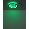 Mavis Plafonnier Luminaires Globo Lighting LED Blanc, 1 lumière, Télécommandes, Changeur de couleurs