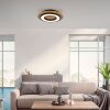 TOLA Plafonnier Luminaires Leuchten Direkt LED Brun, Noir, 1 lumière