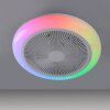 mit Ventilateur de plafond lumineux Luminaires Leuchten Direkt LED Blanc, 1 lumière, Télécommandes