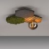 HEX Plafonnier Luminaires Leuchten Direkt LED Gris, Vert, 1 lumière