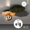 HEX Plafonnier Luminaires Leuchten Direkt LED Gris, Vert, 1 lumière