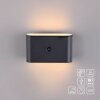 ZIDDY Applique murale Luminaires Leuchten Direkt LED Noir, 2 lumières, Détecteur de mouvement
