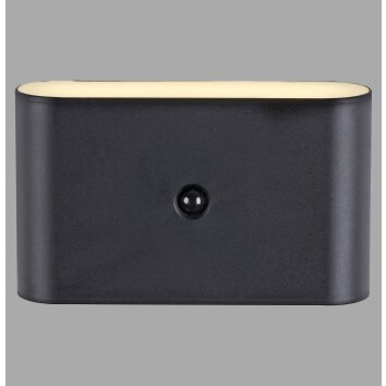 ZIDDY Applique murale Luminaires Leuchten Direkt LED Noir, 2 lumières, Détecteur de mouvement