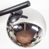 Chehalis Plafonnier, Boule lumineuse Chrome, Fumé, 4 lumières