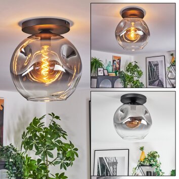 Ripoll Plafonnier, Boule lumineuse Clair, Fumé, 1 lumière