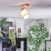 Fallhagen Plafonnier, Spot de plafond Chrome, Bois clair, 1 lumière