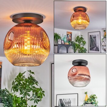 Ripoll Plafonnier, Boule lumineuse Clair, Cuivré, 1 lumière