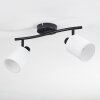 Fallhagen Plafonnier, Spot de plafond Noir, 2 lumières