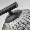 Ripoll Plafonnier, Boule lumineuse Clair, Fumé, 3 lumières