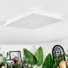 Raimea Plafonnier, Panel LED Blanc, 1 lumière