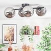 Chehalis Plafonnier, Boule lumineuse Fumé, 4 lumières