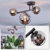 Chehalis Plafonnier, Boule lumineuse Chrome, Fumé, 3 lumières