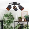 Fallhagen Plafonnier, Spot de plafond Noir, 3 lumières