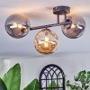Chehalis Plafonnier, Boule lumineuse Ambre, Fumé, 3 lumières