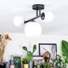 Chehalis Plafonnier, Boule lumineuse Blanc, 3 lumières