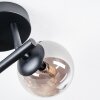 Chehalis Plafonnier, Boule lumineuse Ambre, Fumé, 3 lumières