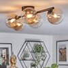 Chehalis Plafonnier, Boule lumineuse Ambre, 5 lumières