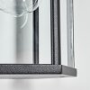 Monfanim Lampe murale d´extérieur, Applique murale Noir, 1 lumière