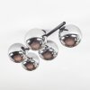 Chehalis Plafonnier, Boule lumineuse Chrome, Fumé, 5 lumières