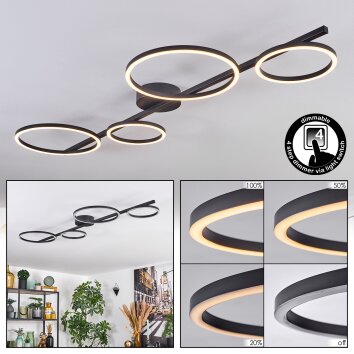 Firon Plafonnier LED Noir, 1 lumière