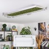 Dorel Plafonnier LED Vert, Argenté, Blanc, 1 lumière