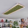 Dorel Plafonnier LED Vert, Argenté, Blanc, 1 lumière