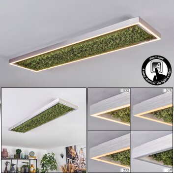 Dorel Plafonnier LED Vert, Argenté, Blanc, 1 lumière