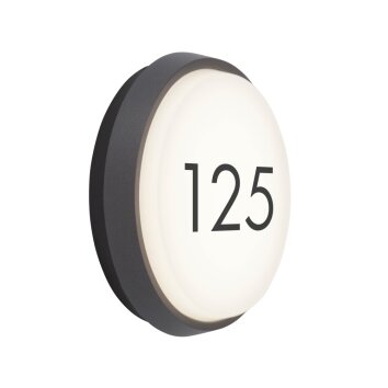 Lampe murale d'extérieur AEG Letan Round LED Anthracite, Blanc, 1 lumière