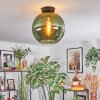 Koyoto Plafonnier, Boule lumineuse Vert, 1 lumière