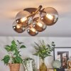 Chehalis Plafonnier, Boule lumineuse Chrome, Fumé, 5 lumières