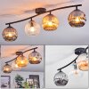 Ripoll Plafonnier, Boule lumineuse Ambre, Clair, Fumé, 4 lumières