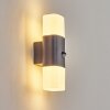 Felor Lampe murale d´extérieur, Luminaire Up & Down, Applique murale LED Anthracite, 2 lumières, Détecteur de mouvement