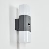 Felor Lampe murale d´extérieur, Luminaire Up & Down, Applique murale LED Anthracite, 2 lumières, Détecteur de mouvement