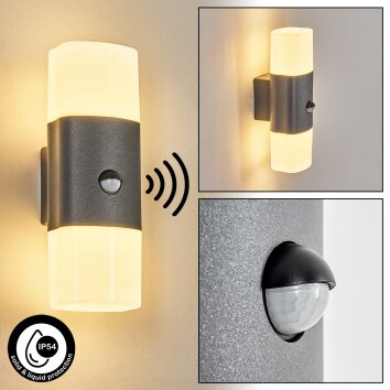 Felor Lampe murale d´extérieur, Luminaire Up & Down, Applique murale LED Anthracite, 2 lumières, Détecteur de mouvement