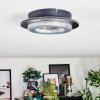 Lidor Plafonnier LED Gris, Noir, 1 lumière