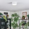 Falor Plafonnier LED Blanc, 1 lumière