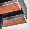 Galen Plafonnier LED Couleur bois, Noir, 1 lumière