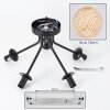 Basto Plafonnier, Boule lumineuse Écru, 5 lumières