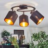 Alsen Plafonnier, Spot de plafond Noir, 3 lumières