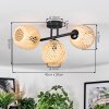 Basto Plafonnier, Boule lumineuse Écru, 3 lumières