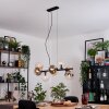 Gastor Suspension, Boule lumineuse, Suspension Ambre, Clair, Fumé, 8 lumières