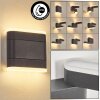 Fanek Lampe murale d´extérieur, Luminaire Up & Down, Applique murale LED Anthracite, 2 lumières