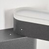 Fanek Lampe murale d´extérieur, Luminaire Up & Down, Applique murale LED Anthracite, 2 lumières