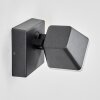 Fanel Lampe murale d´extérieur, Applique murale, Spot mural LED Anthracite, 1 lumière