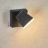 Fanel Lampe murale d´extérieur, Applique murale, Spot mural LED Anthracite, 1 lumière