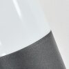 Felor Lampe murale d´extérieur, Luminaire Up & Down, Applique murale LED Anthracite, 2 lumières