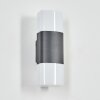 Felor Lampe murale d´extérieur, Luminaire Up & Down, Applique murale LED Anthracite, 2 lumières