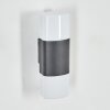 Felor Lampe murale d´extérieur, Luminaire Up & Down, Applique murale LED Anthracite, 2 lumières