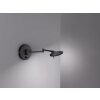 Applique murale Trio KAZAN LED Noir, 1 lumière